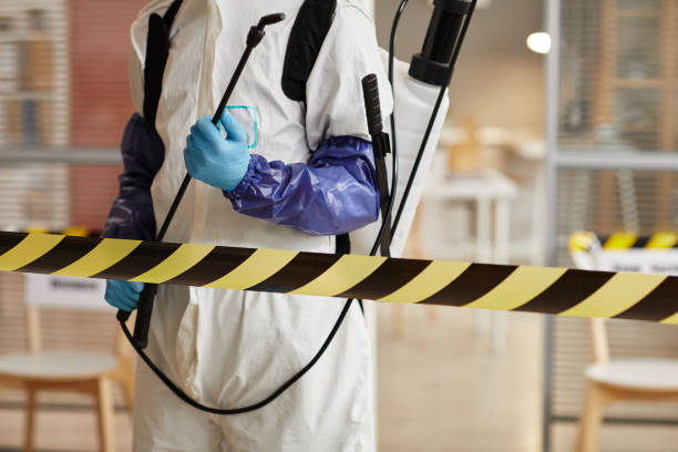 Professional Sewage Cleanup technician working in Morristown, NJ